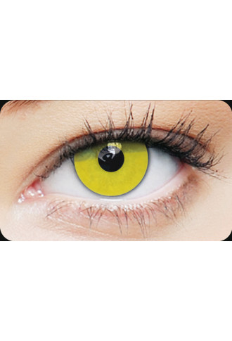 Clearcolor 1 Day Phantom Zombie Yellow - Lentilles fantaisies - Supervision