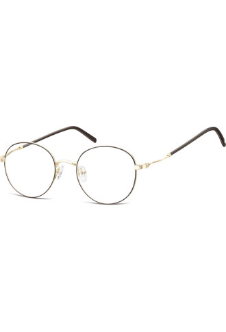 Métal 927D - 100% santé - montures - supervision