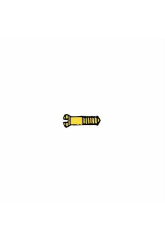 Vis de plaquettes 1.0 x 1.4 x 4.1 - doré VI-049/DC - vis - supervision