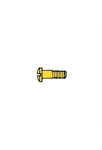 Vis de tenons et charnières 1.4 x 2.5 x 5.2 - doré VI-055/DC - vis - supervision