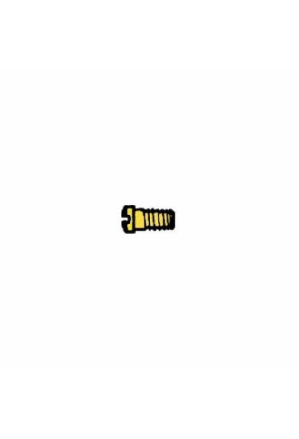 Vis en acier inoxydable 1.2 x 1.6 x 4.4 - doré VI-074/DC - vis - supervision