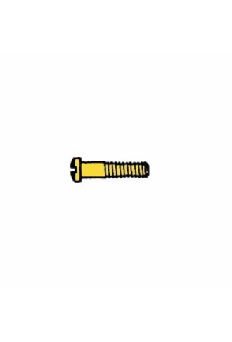 Vis en acier inoxydable 1.2 x 1.8 x 10.6 - doré VI-069/DC - vis - supervision