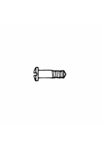 Vis en acier inoxydable 1.4 x 2.5 x 7.0 - blanc VI-395/C - vis - supervision