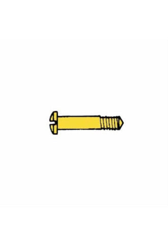 Vis en acier inoxydable 1.6 x 2.5 x 10 - doré VI-072/DC - vis - supervision