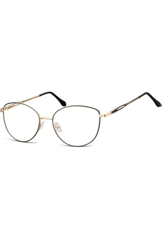 Métal adulte 888A - 100% santé - montures - supervision