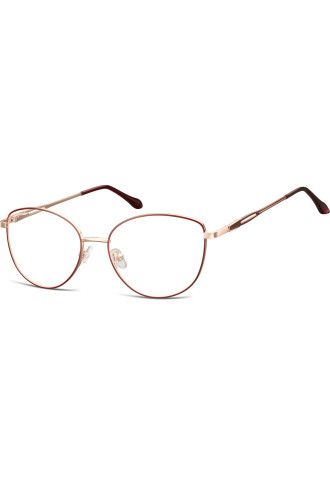 Métal adulte 888B - 100% santé - montures - supervision