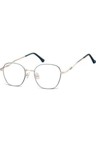 Métal adulte L117C - 100% santé - montures - supervision