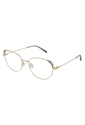 13496 GN 5117 - montures optiques - supervision