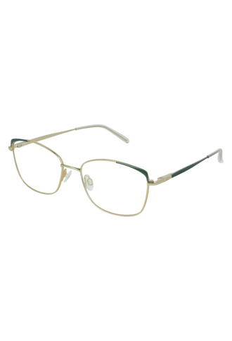 13501 GN 5317 - montures optiques - supervision