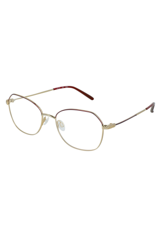 13505 WI 5217 - montures optiques - supervision