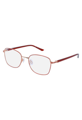 13525 RE 5118 - montures optiques - supervision