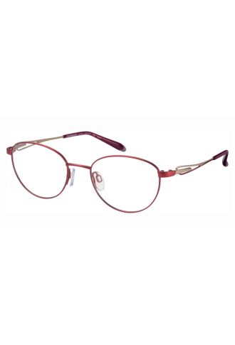 29600 RE 5018 - montures optiques - supervision