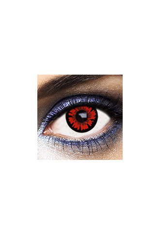 Bella 1 Day Plan - lentilles fantaisies - supervision