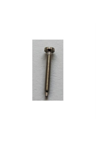 Vis pour monture cerclée, fente, argenté, 2.5 X 1.2 X 12.0MM - L (100 PIECES) - vis - supervision